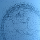 Illustration for article titled The Earth Has A Halo Of Space Crap